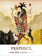 Prophecy Pinot Noir V18 750ML image number 3